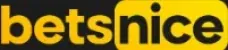 Betsnice logo
