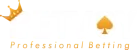 Betvoy logo