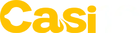 Casi10 logo